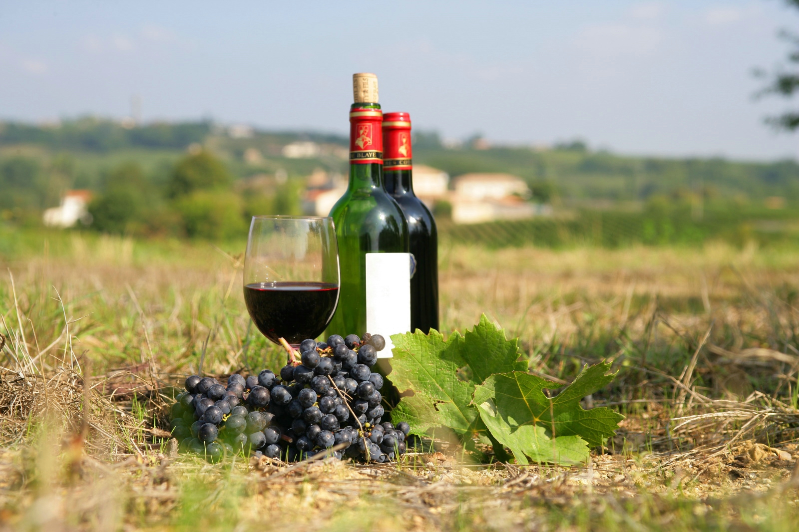 Винодельческий туризм Франция