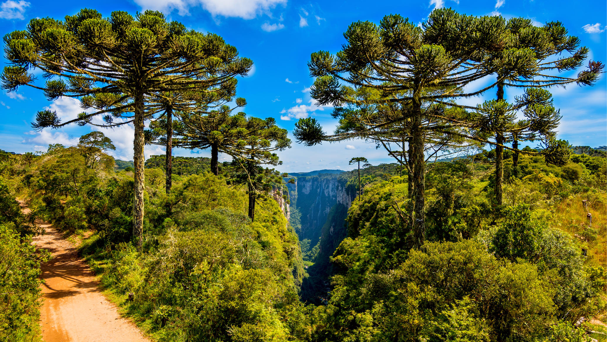 5. Jug Braziliiv chasti pro klimat