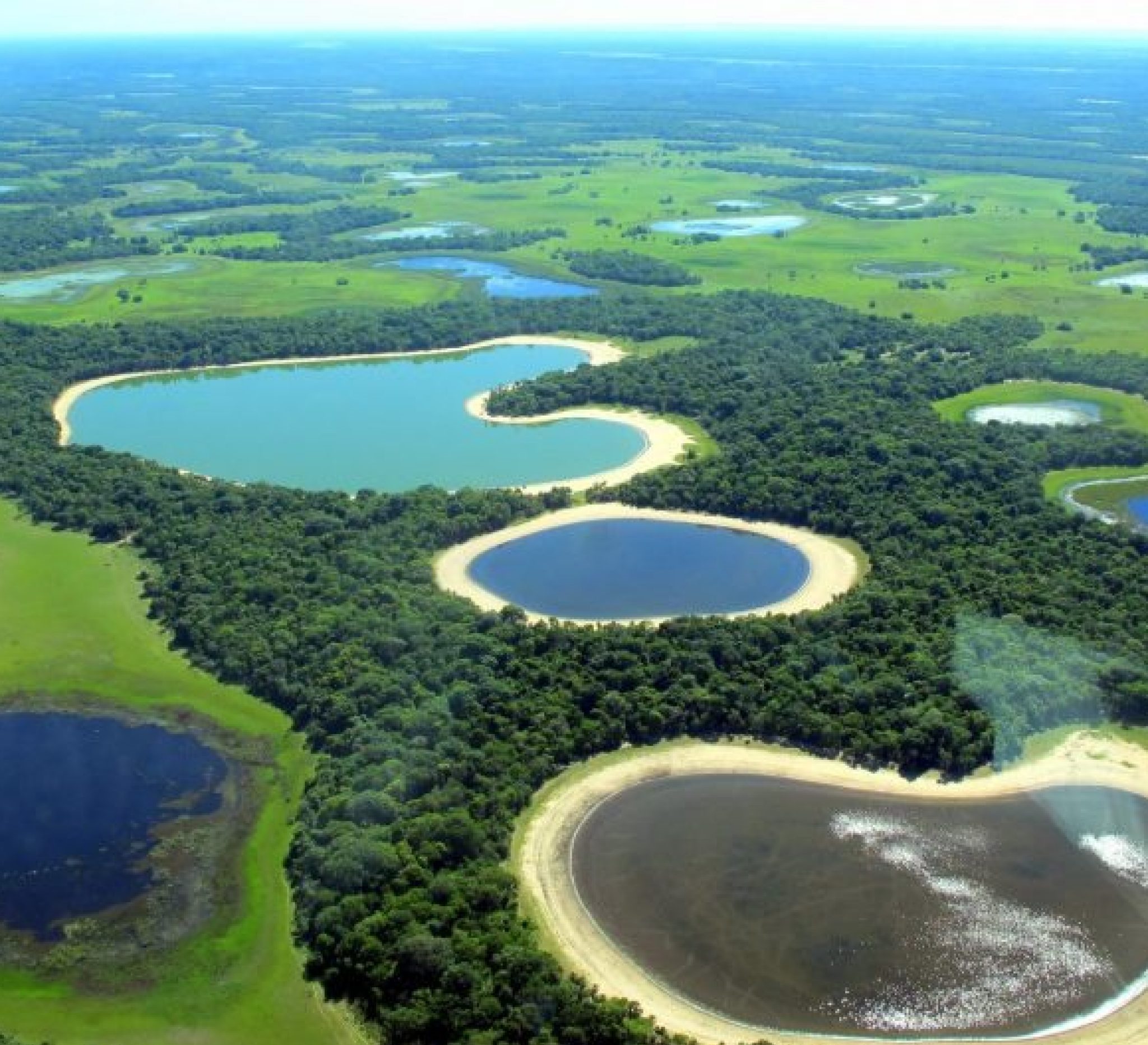 7. Parki i prirodnye rezervaty Brazilii