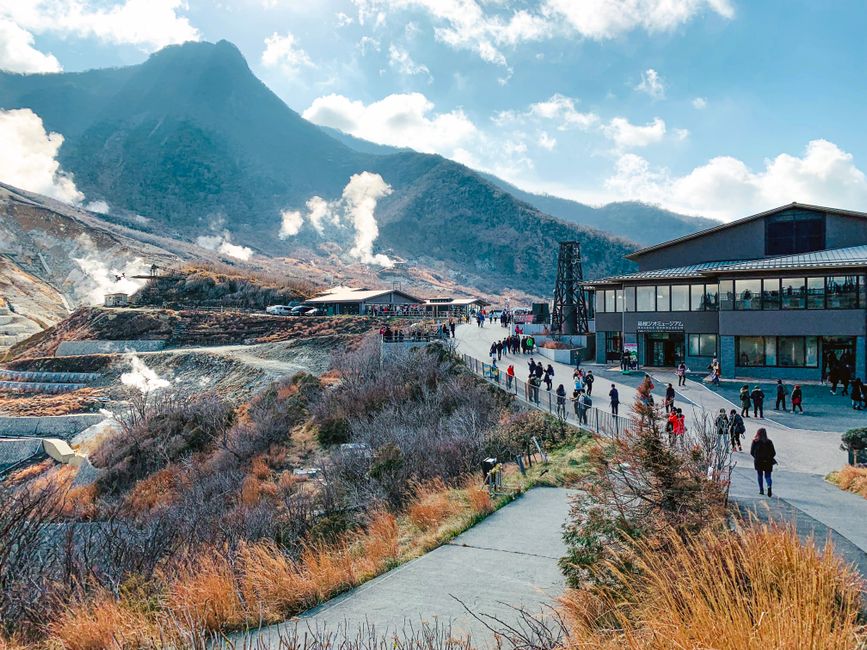 Japan Travel Guide Hub