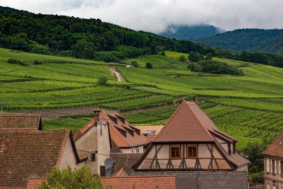 Scenic view of a French region with diverse landscapes, perhaps lavender fields or vineyards.