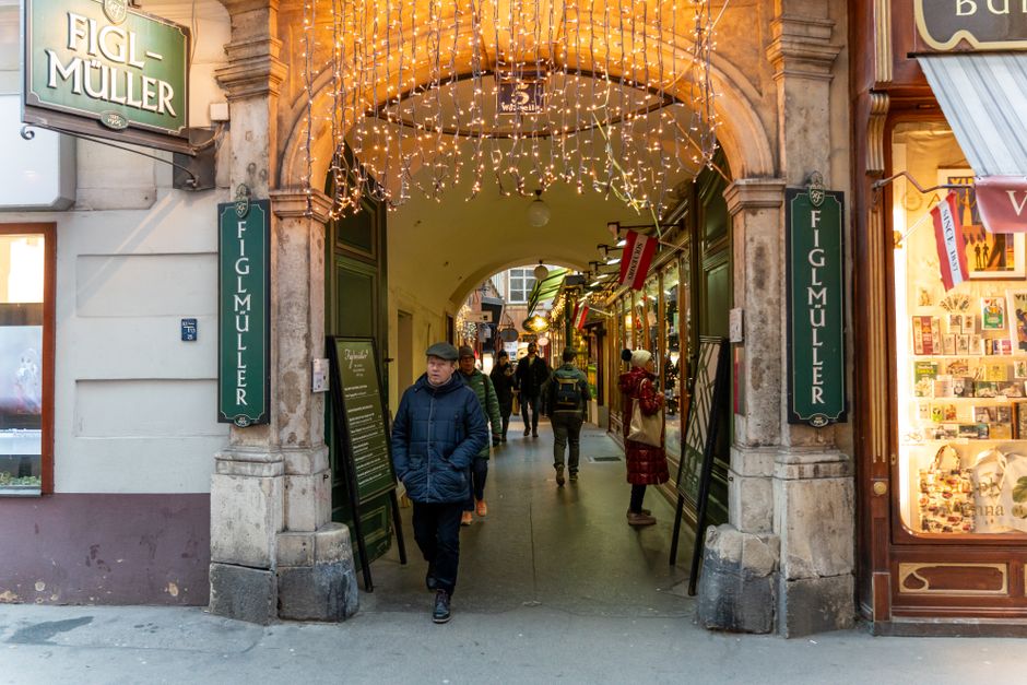 Elegant shopping street in Vienna, Austria, with historic buildings and bustling activity