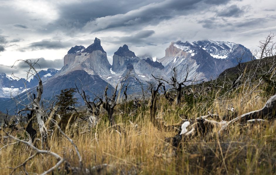 Stunning panoramic view of the Andes mountains in Chilean Patagonia, ideal for a travel itinerary