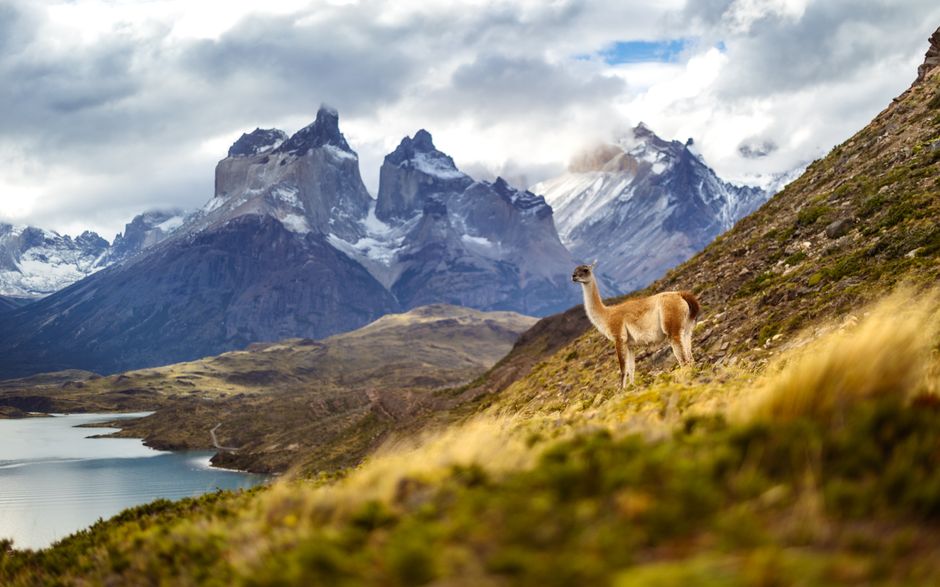 Travel insurance policy documents with a scenic backdrop of the Chilean Andes mountains