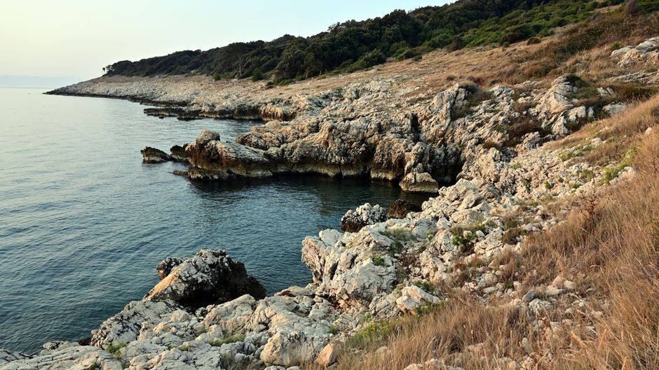 A compact rental car driving along a scenic coastal road in Croatia with the Adriatic Sea in the background.