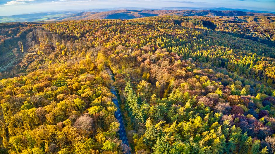 Rental car driving on a scenic highway in the Czech Republic
