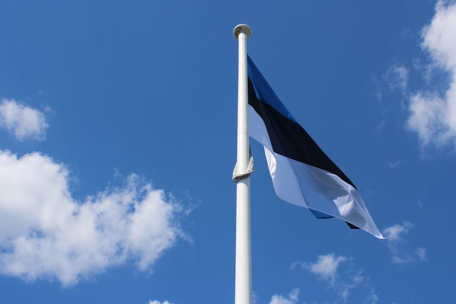 Crowds gathered at the Estonian Song and Dance Celebration in Tallinn, showcasing vibrant Estonian culture.