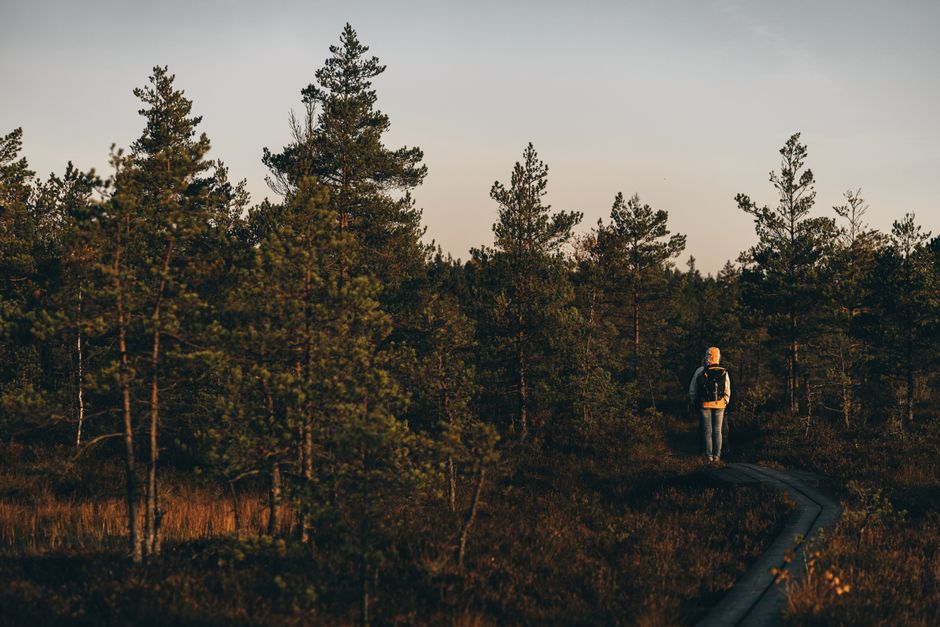 Traveler with a backpack enjoying a beautiful Estonian landscape, ready for adventure