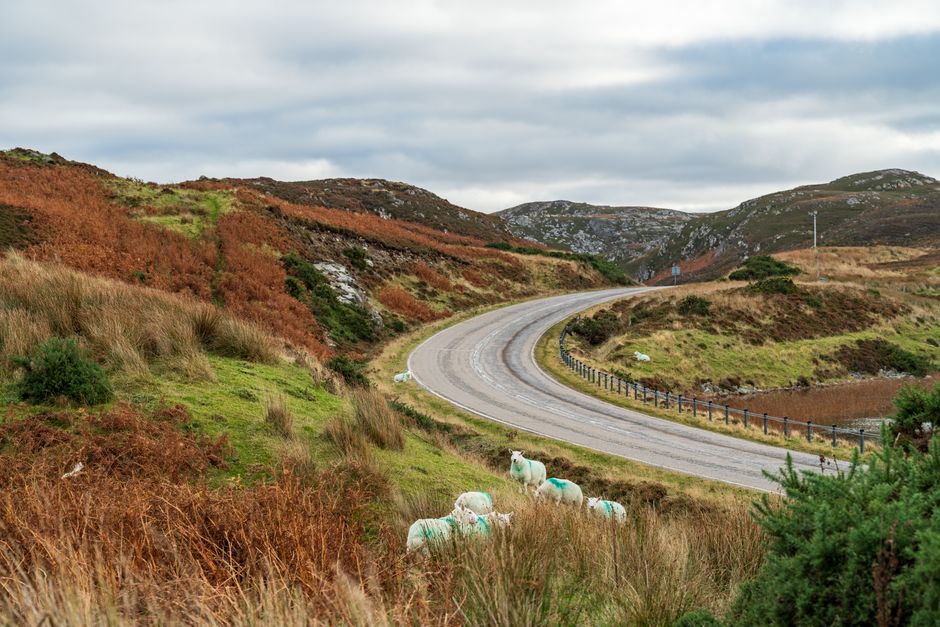 Travel insurance policy documents with a scenic Great Britain countryside in the background