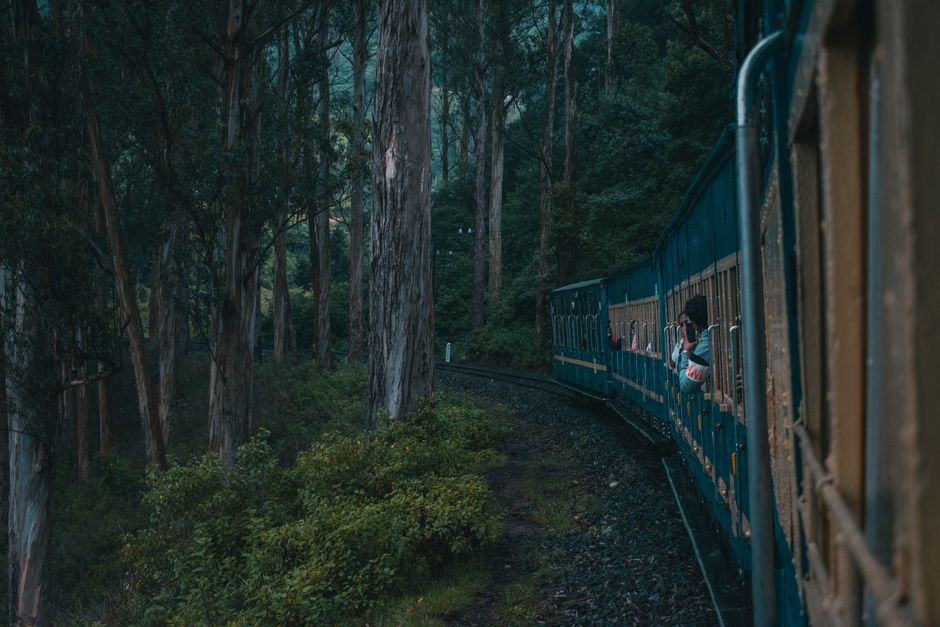 A vibrant Indian Railways train journeying through a lush green landscape in India