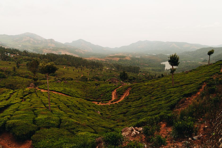 Panoramic view of diverse Indian landscapes, showcasing mountains, beaches, and historical sites across India