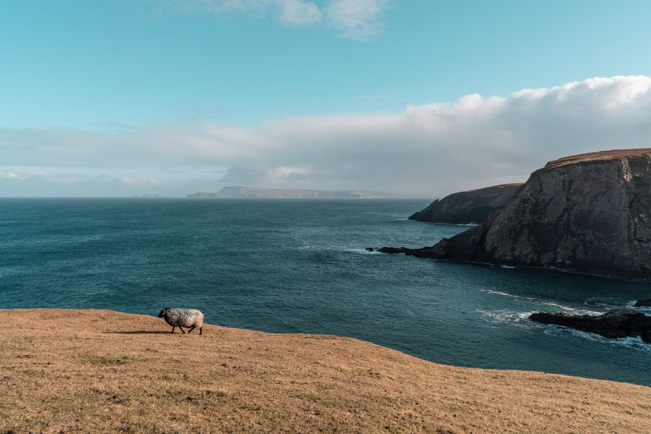 Scenic view of the Wild Atlantic Way coastline in Ireland with cliffs and ocean.