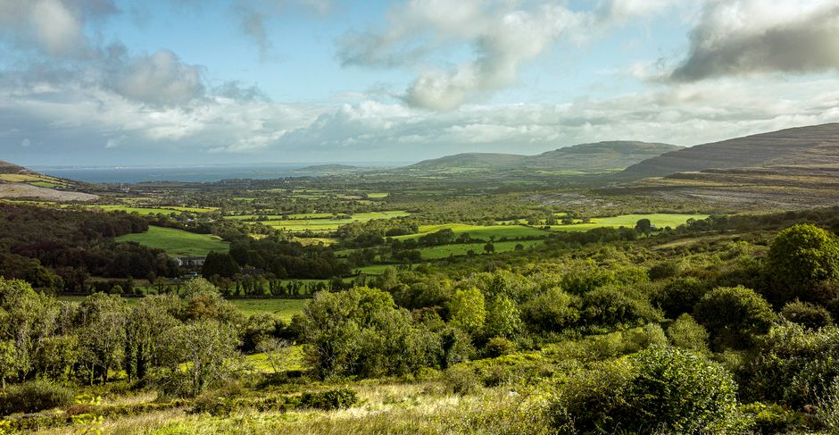 Rolling green hills of Ireland, symbolizing safe travel and peace of mind with insurance