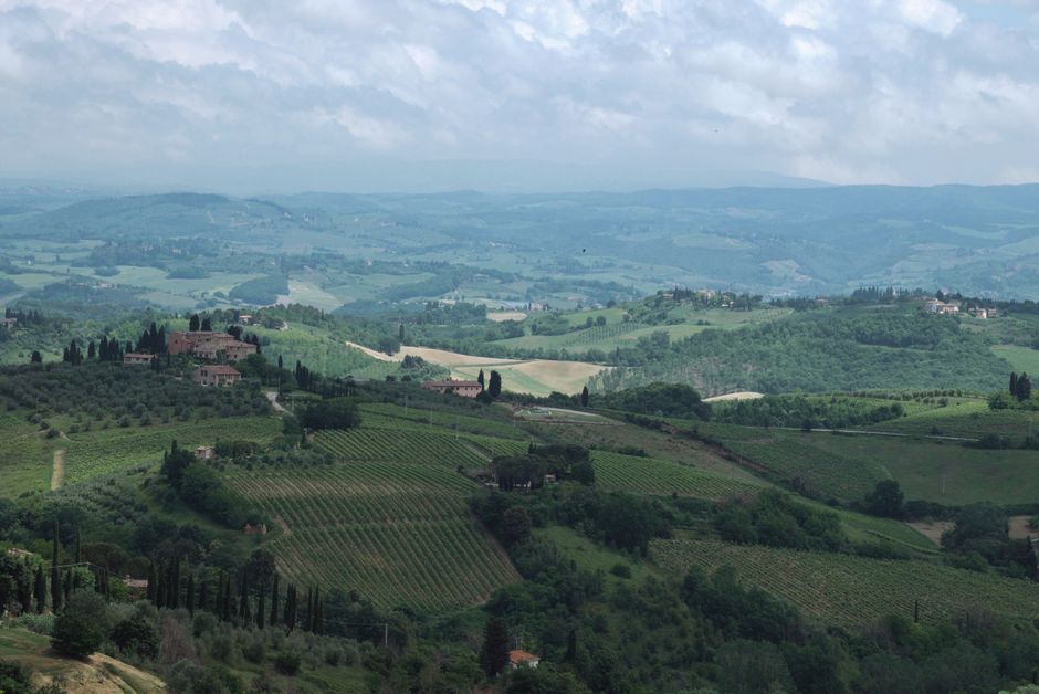 Rolling hills and cypress trees in the Tuscan region of Italy
