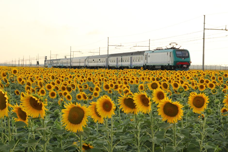 High-speed train departing from an airport terminal in Italy