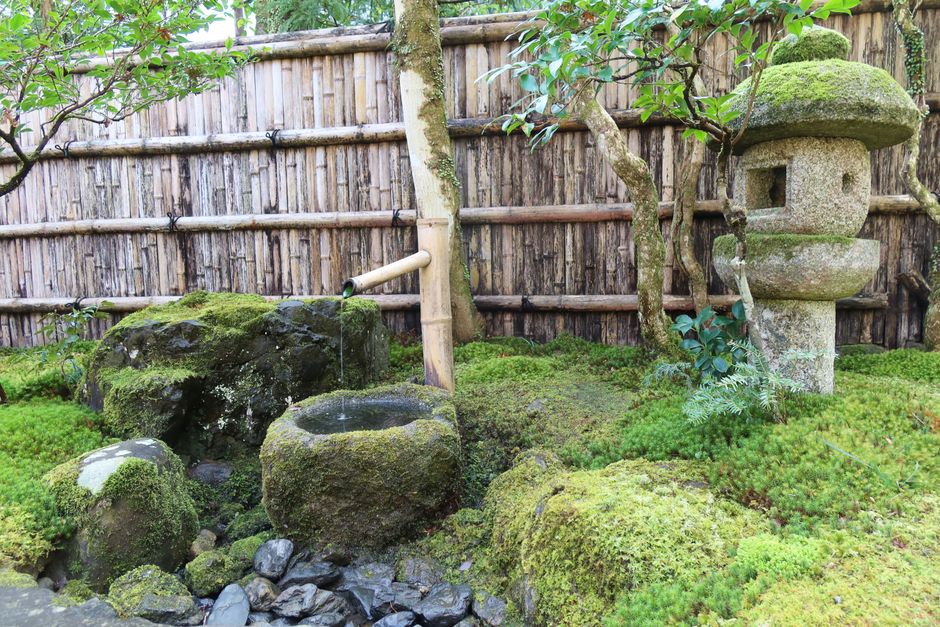 Beautiful traditional Japanese garden in Kyoto with a pond and lush greenery