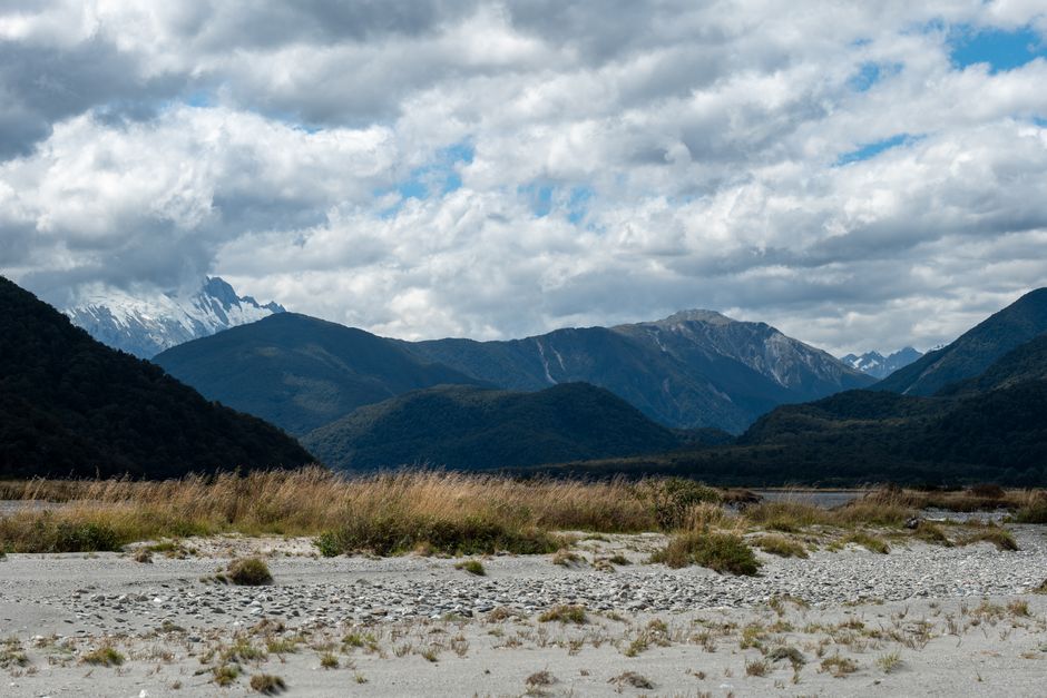 Stunning scenic landscape in New Zealand, perfect for a day trip adventure