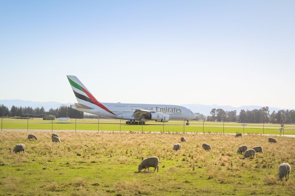 Air New Zealand plane soaring over the scenic New Zealand landscape