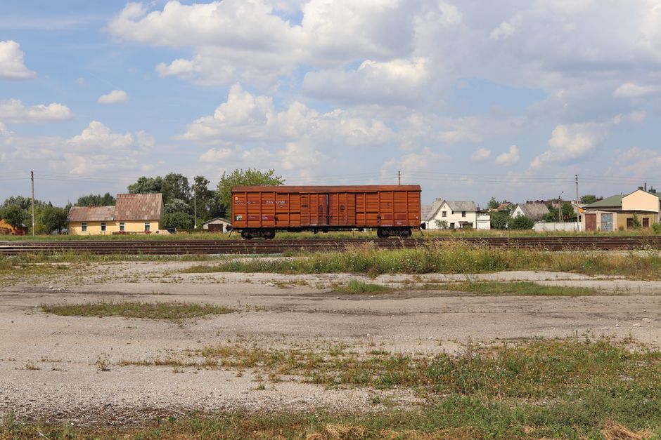A modern regional train traveling through the picturesque Polish countryside