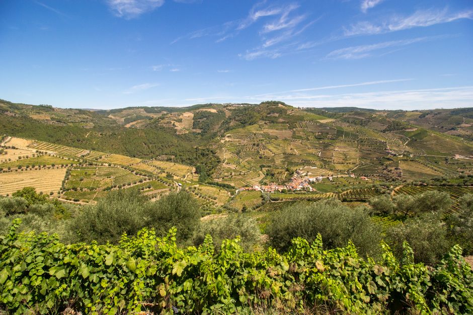 Panoramic view showcasing the diverse landscapes of Portugal's regions, from coast to countryside