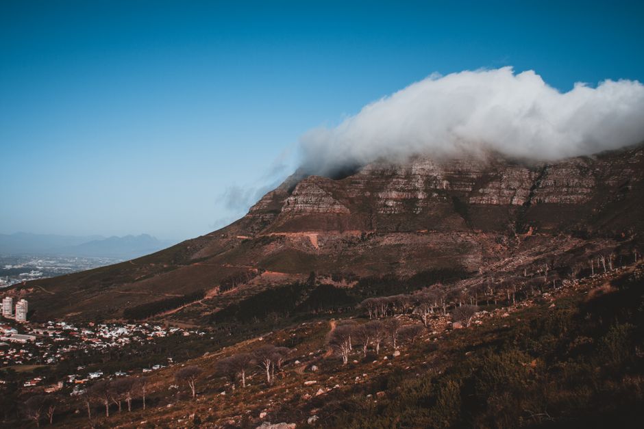 Stunning panoramic view of South African landscape with mountains and vibrant flora, perfect for a travel itinerary