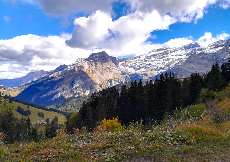 Panoramic view of the Swiss Alps with a clear blue sky, showcasing Switzerland's natural beauty