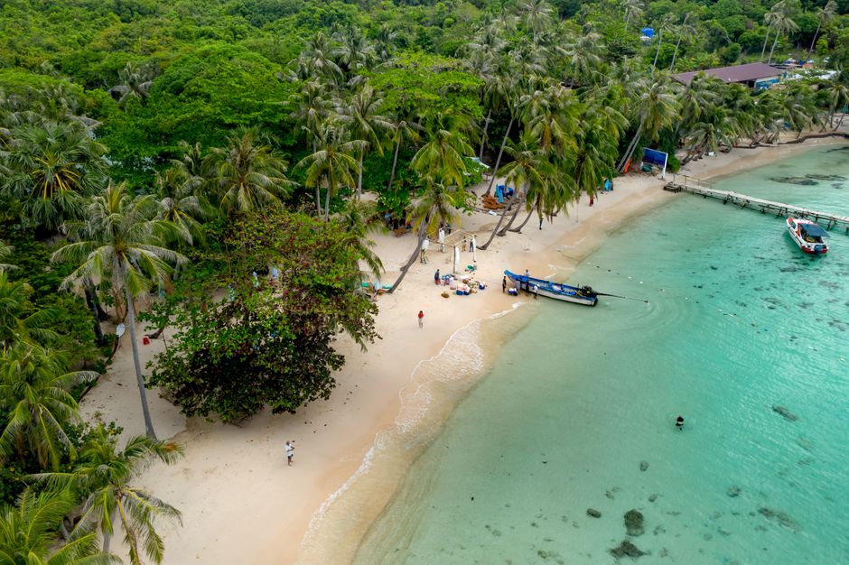 Luxury beachfront resort in Thailand with palm trees and ocean view