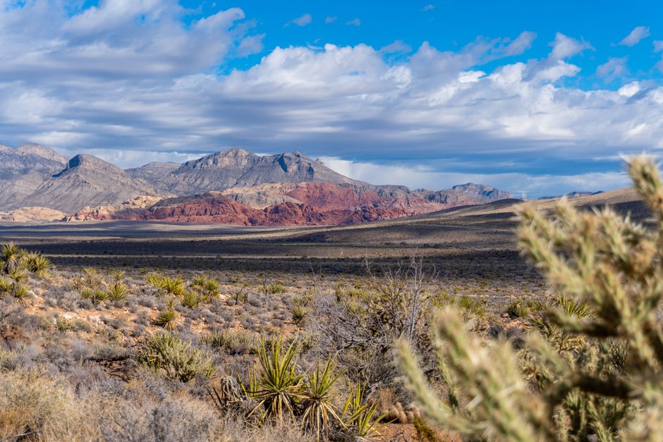 Diverse landscapes showcasing various weather conditions across the USA, from sunny deserts to snowy mountains.
