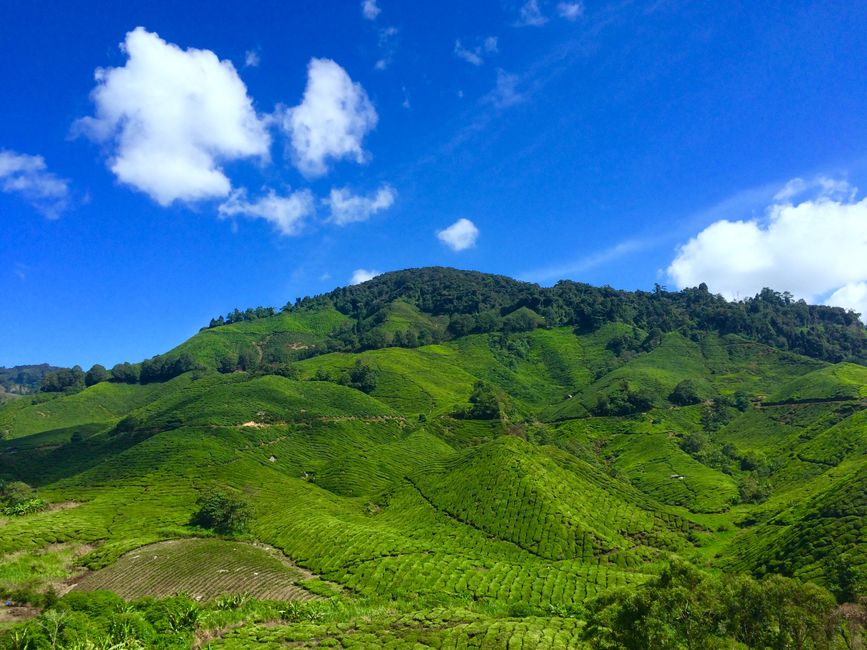 Malaysia Travel Guide Hub