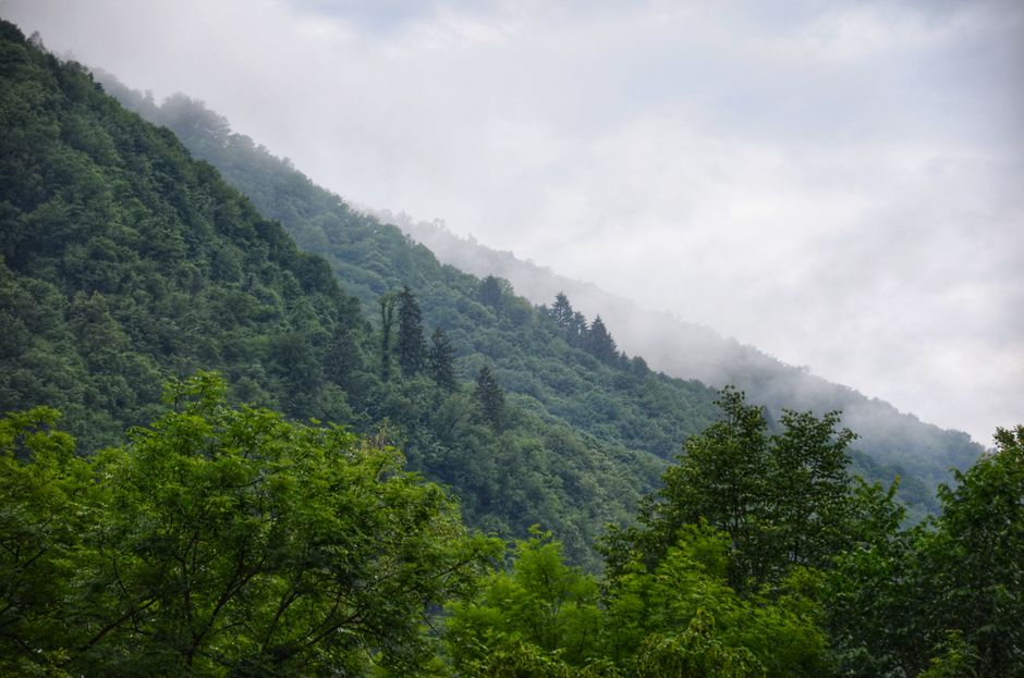 Lush green mountains and forests in Dilijan National Park, Armenia