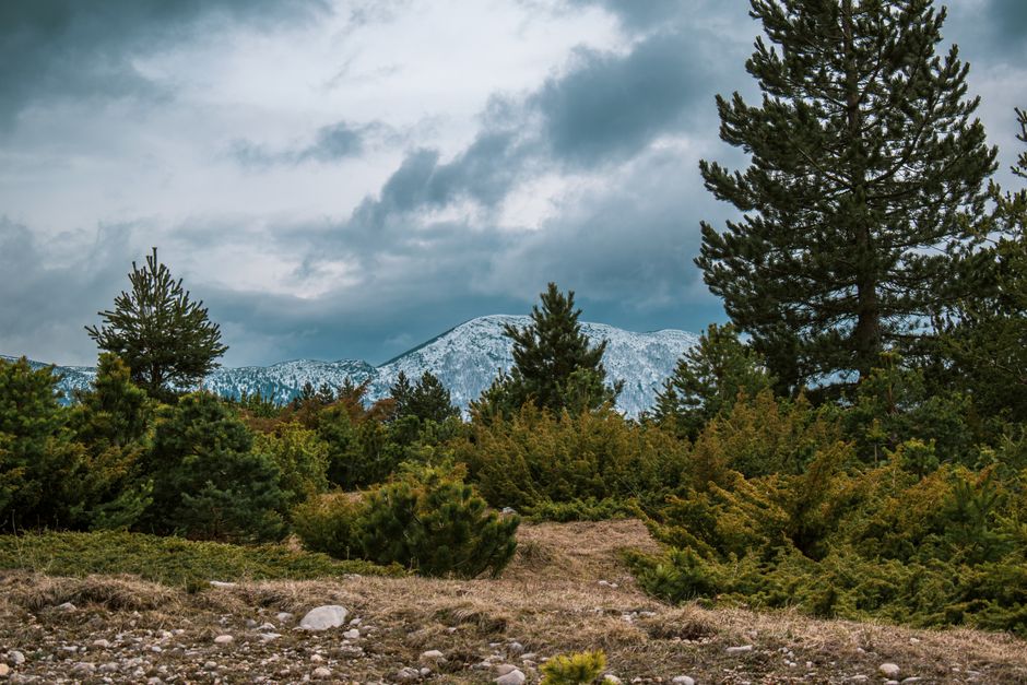 Diverse landscapes of Bosnia and Herzegovina showcasing different weather, from sunny valleys to snowy mountains.