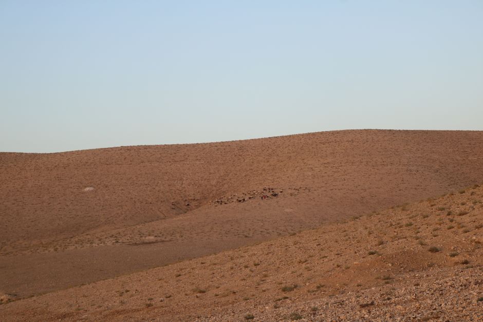 Beautiful desert landscape in Jordan during spring, showing ideal travel weather