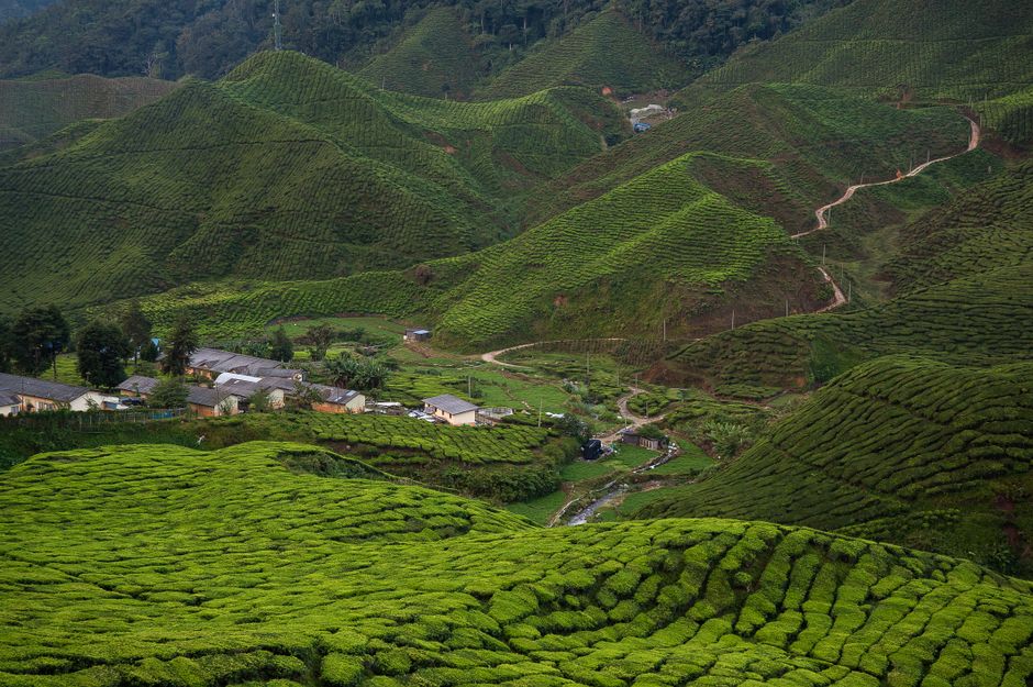 Stunning aerial view of diverse Malaysian landscapes, showcasing islands, jungles, and cities.