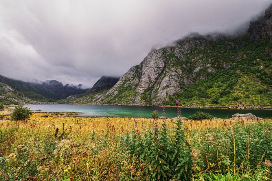 Traveler with backpack overlooking a stunning Norwegian fjord, ready for adventure