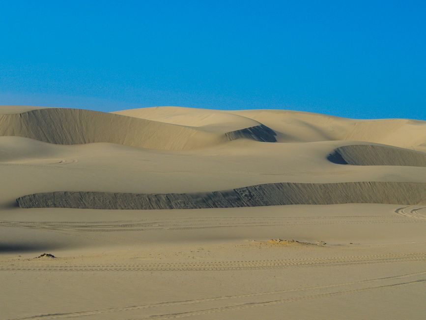 Expansive desert landscape in Qatar with rolling sand dunes under a clear blue sky