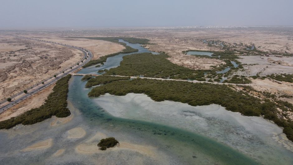 Panoramic view of the Edge of the World cliffs in Saudi Arabia