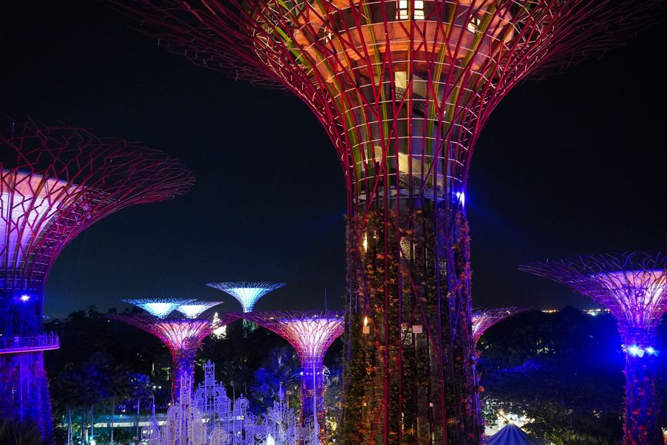 Iconic Supertree Grove at Gardens by the Bay, Singapore, lit up at night