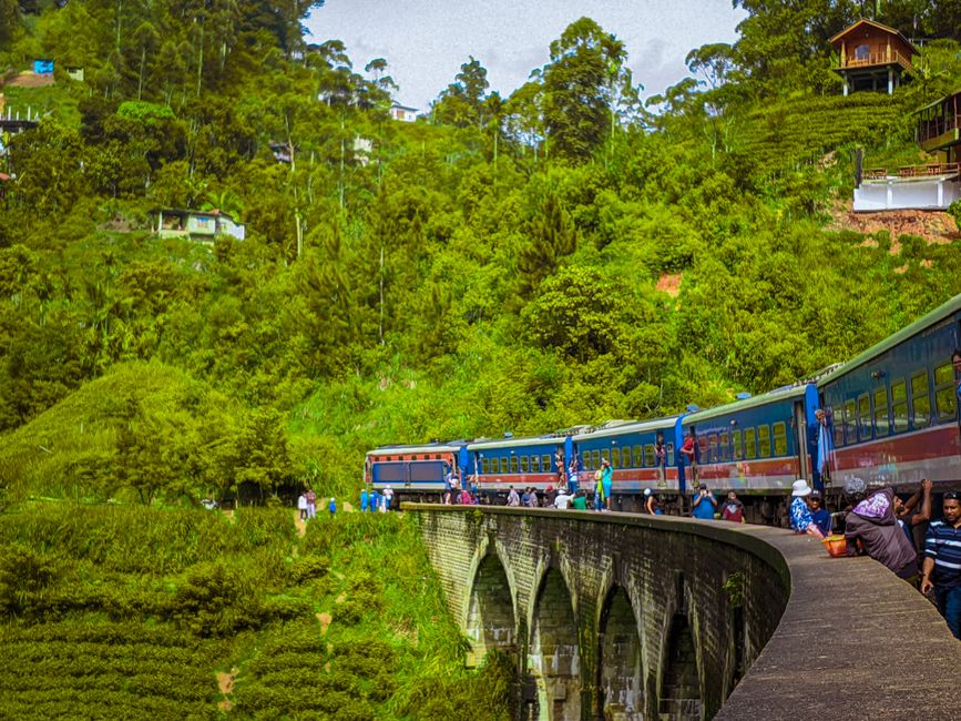 A blue train winding through lush green tea plantations in Sri Lanka, showcasing the scenic Kandy to Ella route.