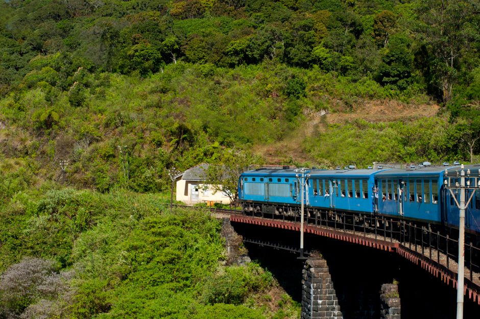 Iconic blue train winding through lush tea plantations in the Sri Lankan highlands