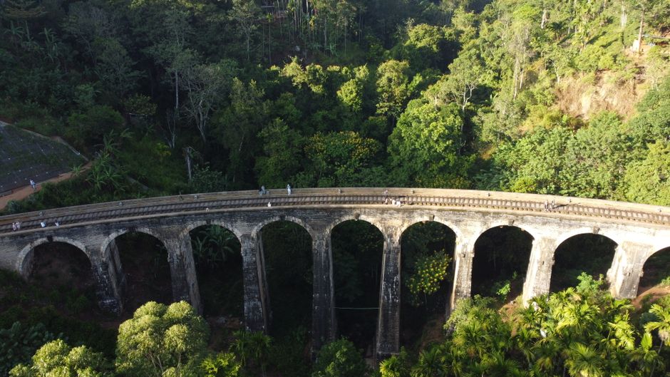 Iconic blue train winding through lush green tea plantations on the Kandy to Ella route in Sri Lanka