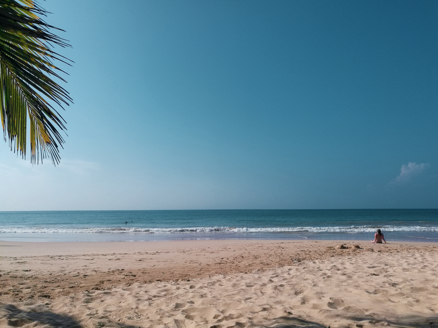 Golden sandy beach with palm trees and clear blue ocean in Sri Lanka during sunny weather