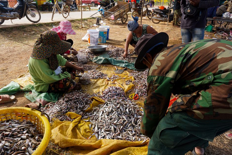 A vibrant traditional market scene in Cambodia with local vendors and colorful goods