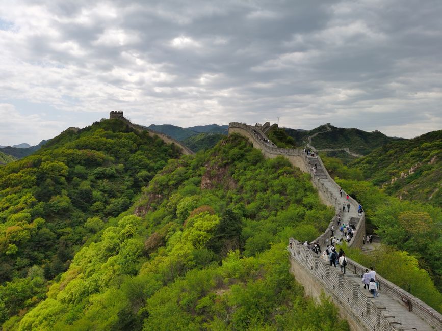 Panoramic view of the Mutianyu section of the Great Wall of China winding through lush mountains