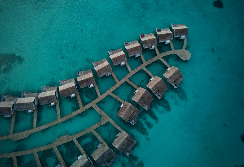 A luxurious overwater bungalow in the Maldives with crystal clear turquoise water, hinting at marine life below.