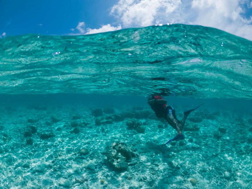Tourists snorkeling near a pristine sandbank in the Maldives