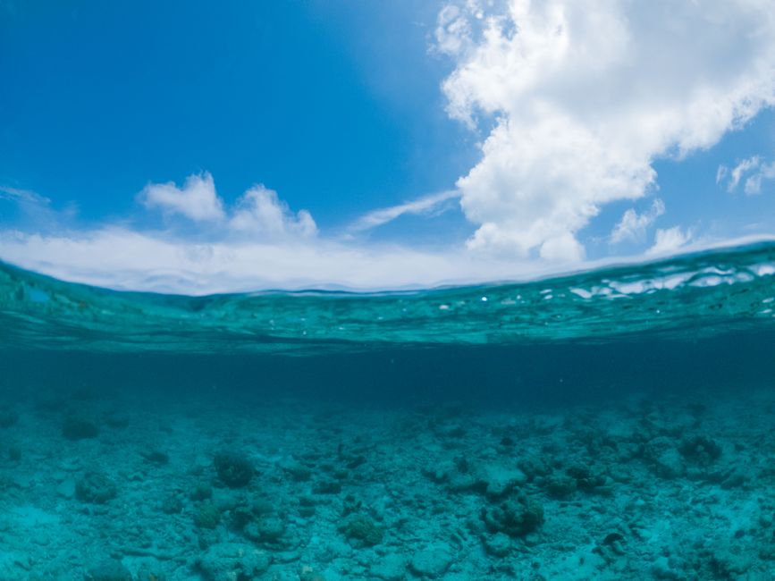 A traditional Maldivian dhoni boat carrying tourists for a snorkeling tour in crystal clear turquoise waters.