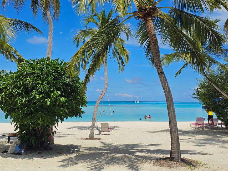 Sunny beach with white sand and palm trees in the Maldives, illustrating perfect weather