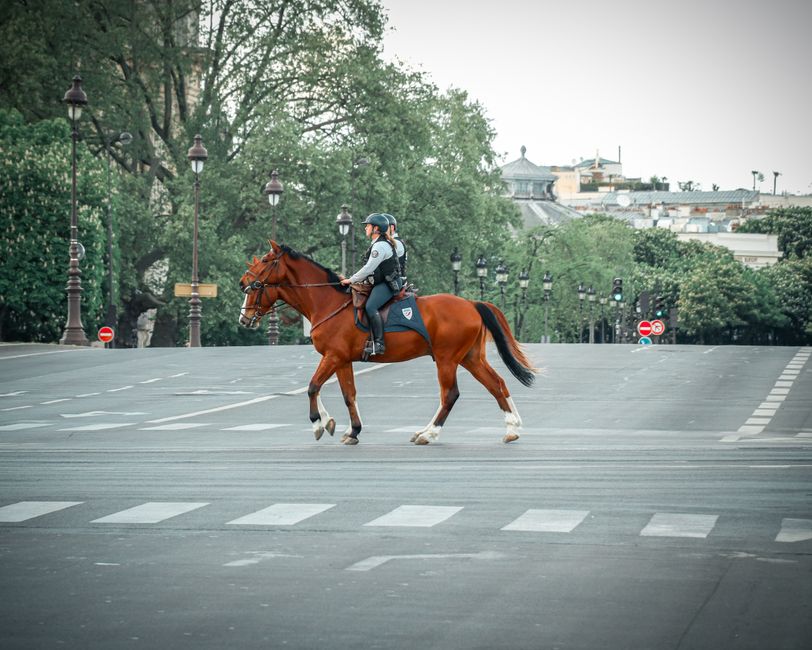 Safety in Paris